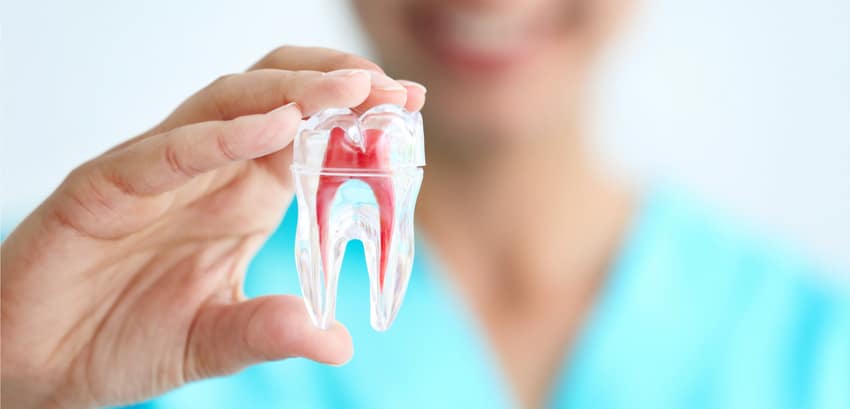 Endodontie endodontie